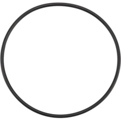 Pierścień uszczelniający o-ring Agco X548960666000 - dilagro.pl - 1