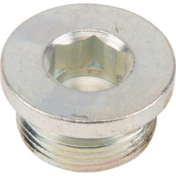 Korek magnetyczny Spicer Dana 7250603401N - dilagro.pl - 1