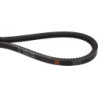 Pasek klinowy Massey Ferguson (AGCO) 3386214M1 - dilagro.pl - 1