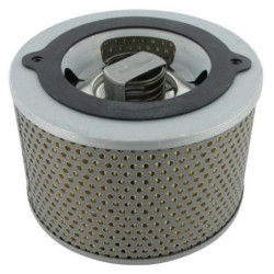 Filtr hydrauliki Argo-Hytos K3140951 - dilagro.pl - 1