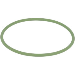 Pierścień uszczelniający o-ring AGCO X548953115000 - dilagro.pl - 1