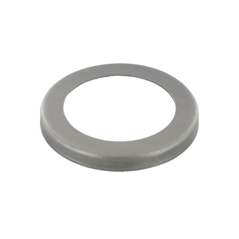 Blaszka zabezpieczająca ZF ZF 4468353053 - dilagro.pl - 1