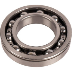 Łożysko Landini 1443559X1 - dilagro.pl - 1