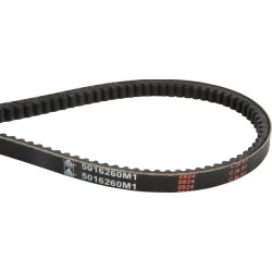 Pas klinowy Massey Ferguson (AGCO) 5016260M1 - dilagro.pl - 1