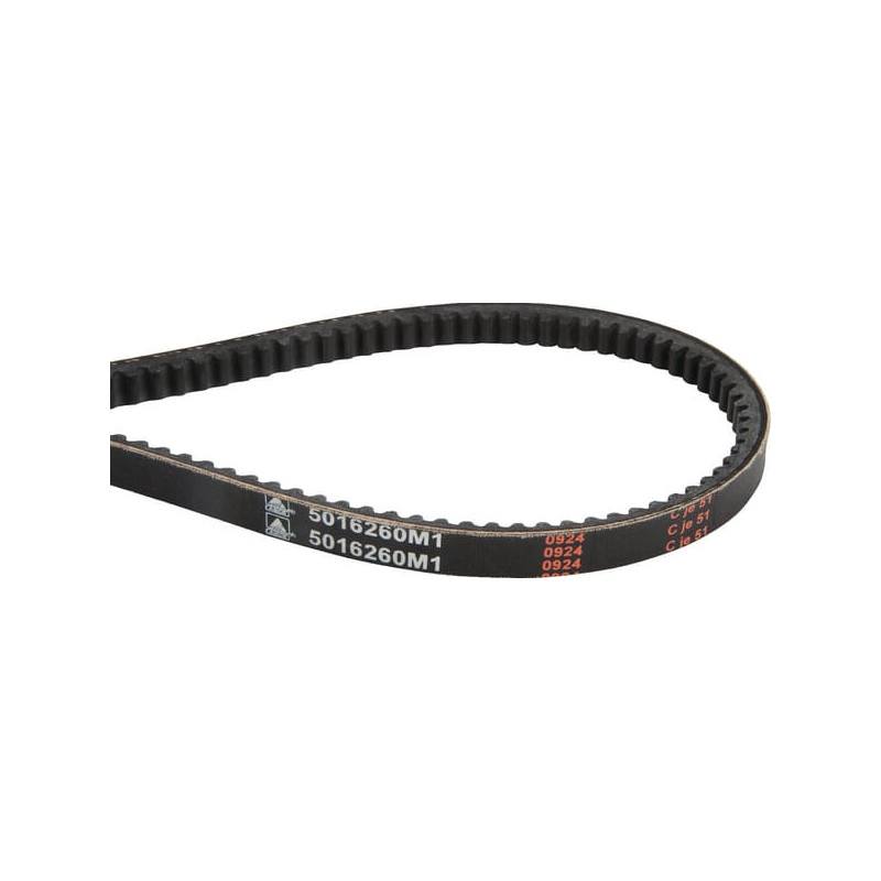 Pas klinowy Massey Ferguson (AGCO) 5016260M1 - dilagro.pl - 1