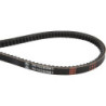 Pas klinowy Massey Ferguson (AGCO) 5016260M1 - dilagro.pl - 1