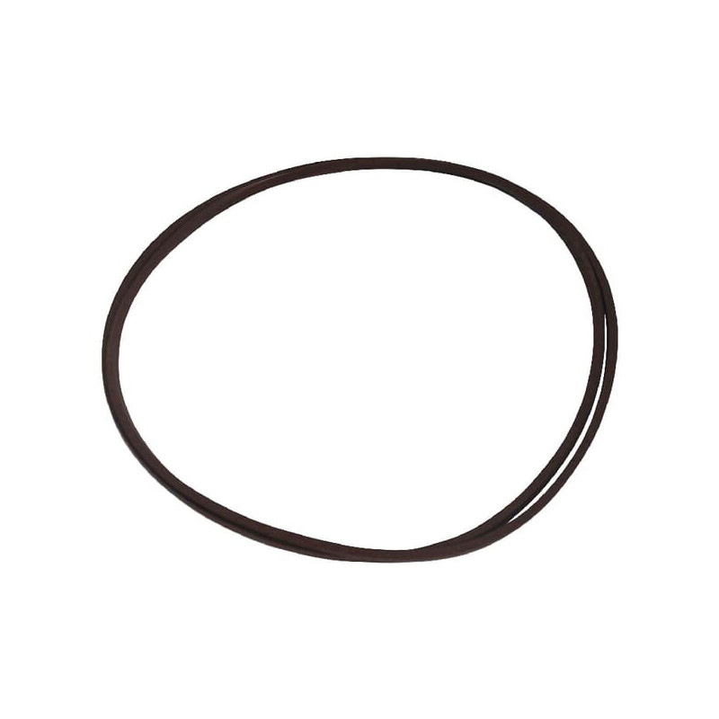 Pierścień uszczelniający New Holland 5165512 - dilagro.pl - 1