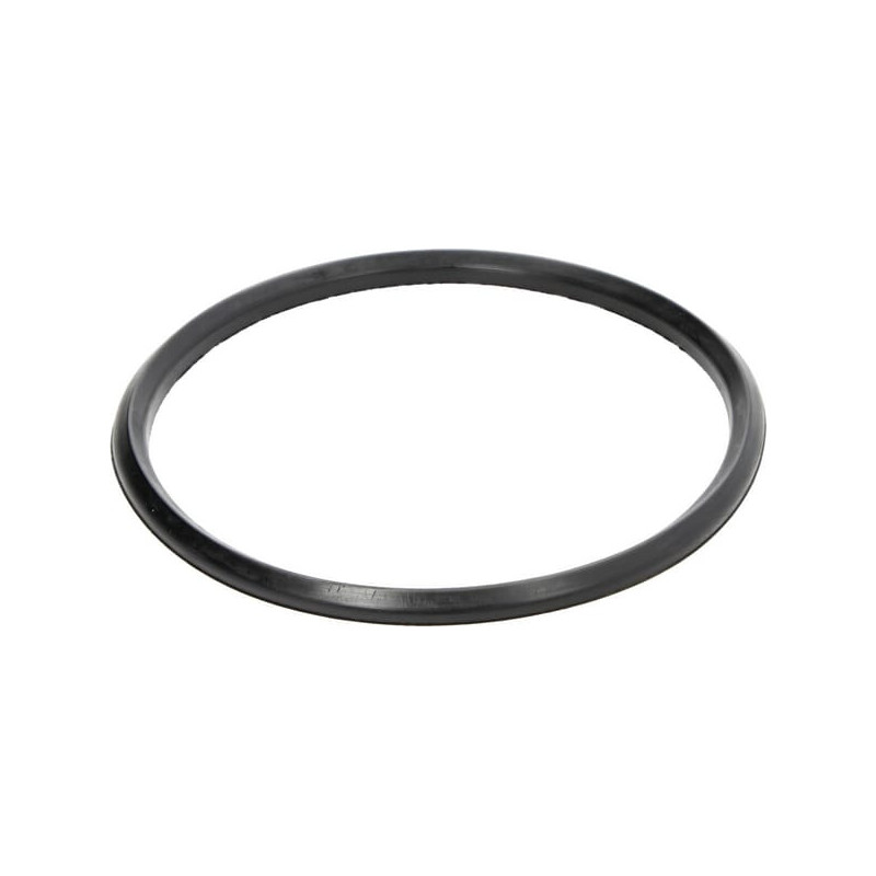 Uszczelniacz korpusu filtra wspomagania Zetor 931153 - dilagro.pl - 1