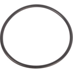 Pierścień uszczelniający o-ring ZF 0501324594 - 1 - dilagro.pl
