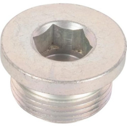 Korek Spicer Dana 065050N - dilagro.pl - 1