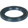Uszczelniacz olejowy Gaspardo F03010208R - dilagro.pl - 1