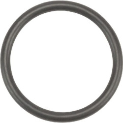 Pierścień uszczelniający o-ring Merlo ME043475 - dilagro.pl - 1