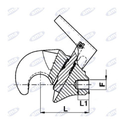 5 Basic - dilagro.pl - 1