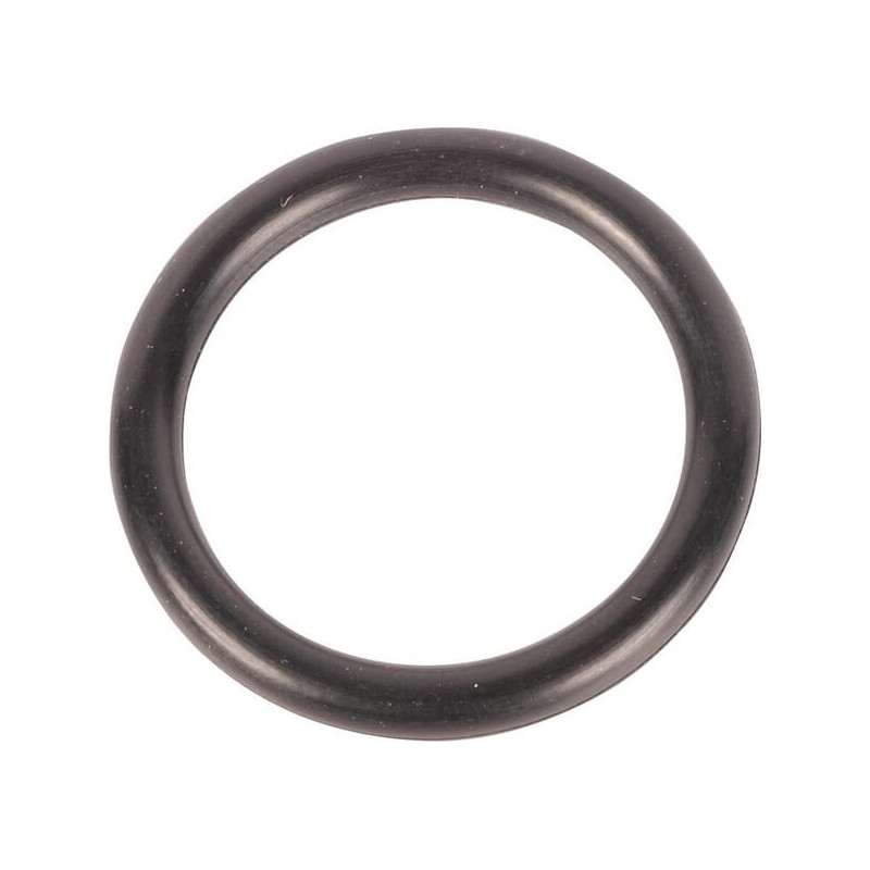 Pierścień uszczelniający o-ring Dana Spicer 001051587 - dilagro.pl - 1