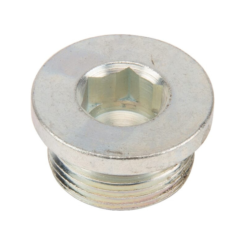 Korek magnetyczny Dana Spicer 7250603401N - dilagro.pl - 1