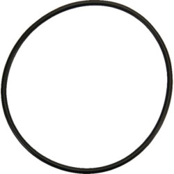 Pierścień uszczelniający o-ring Dana Spicer 001051389 - dilagro.pl - 1