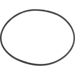 Pierścień uszczelniający o-ring Dana Spicer 1120707601 - dilagro.pl - 1