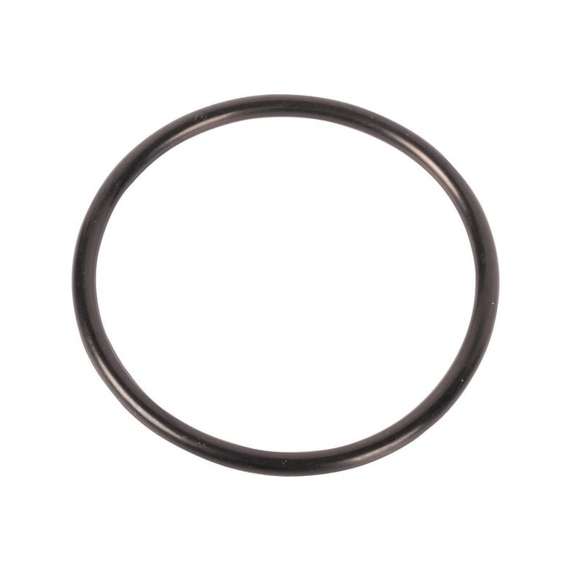Pierścień uszczelniający o-ring Dana Spicer 001051607 - dilagro.pl - 1