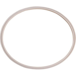 Uszczelka płaska z PTFE Dana Spicer 237032 - dilagro.pl - 1