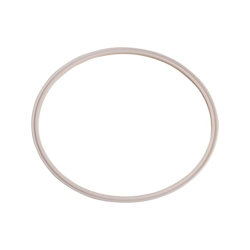 Uszczelka płaska z PTFE Dana Spicer 237032 - dilagro.pl - 1